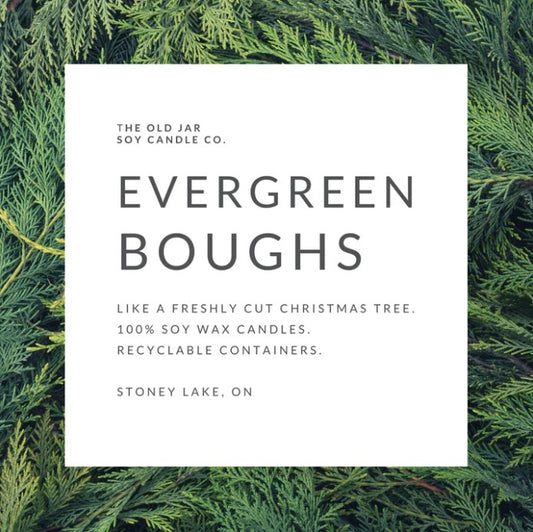 Evergreen Boughs Soy Candle 12oz