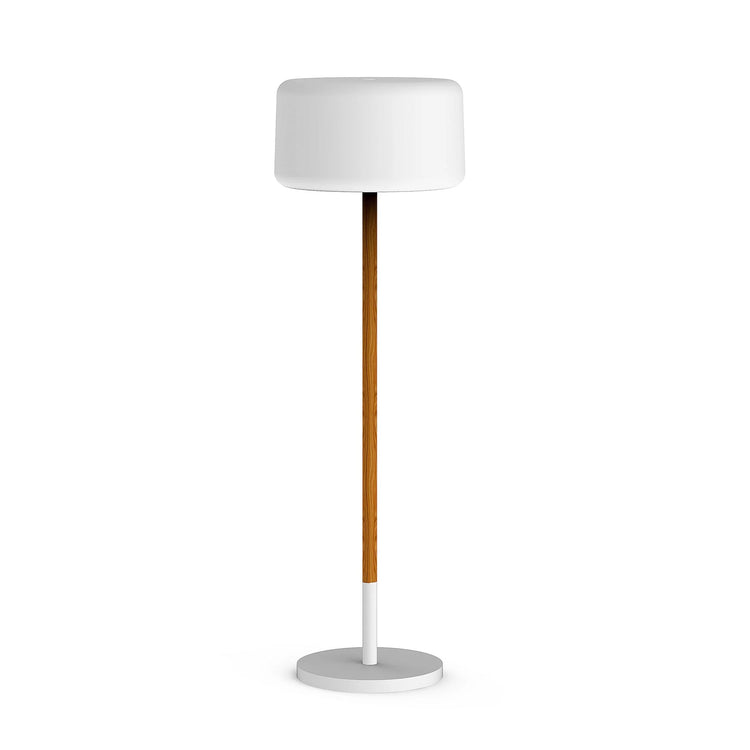 Chloe Plant Adjustable Floor Lamp