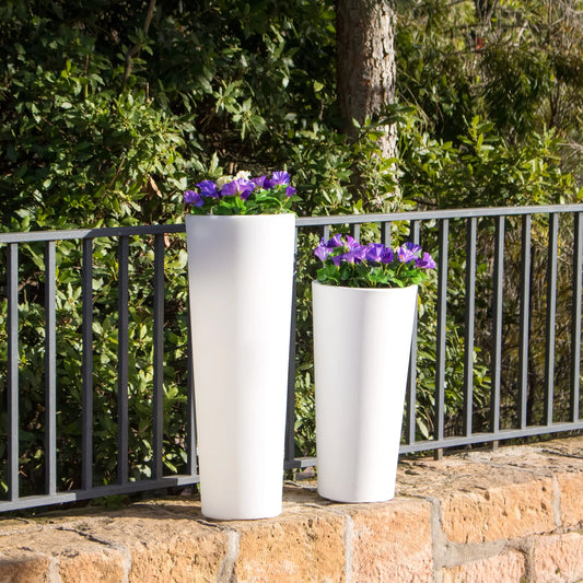 Ficus Flowerpot, Black
