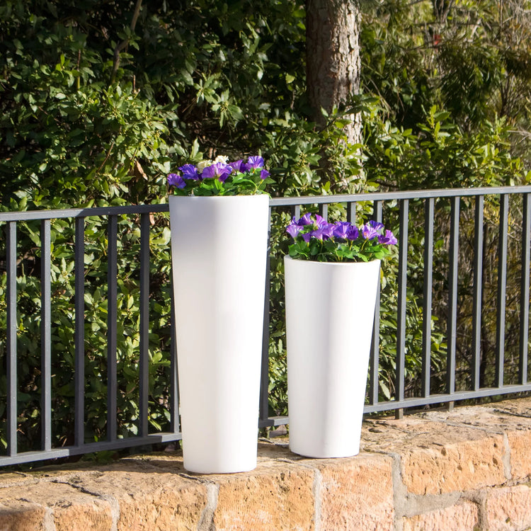 Ficus Flowerpot, Black