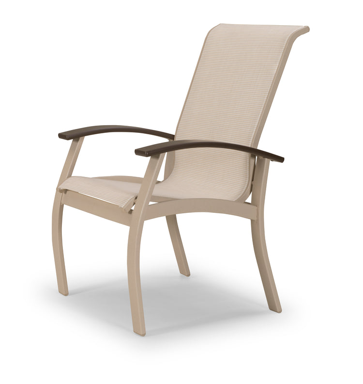 Belle Isle Sling Arm Chair - Elevation Stone/Black